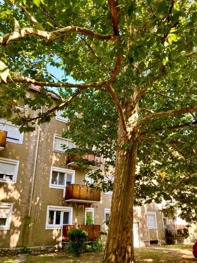 Esther Apartman Татабанья Экстерьер фото